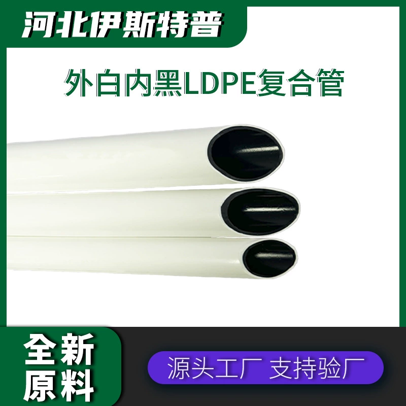 Капельное орошение черники в теплице