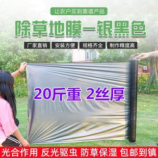 Agricultural silver black double color plastic film reflective moisture cooling insect weed weed fruit tree orchard grape strawberry Special