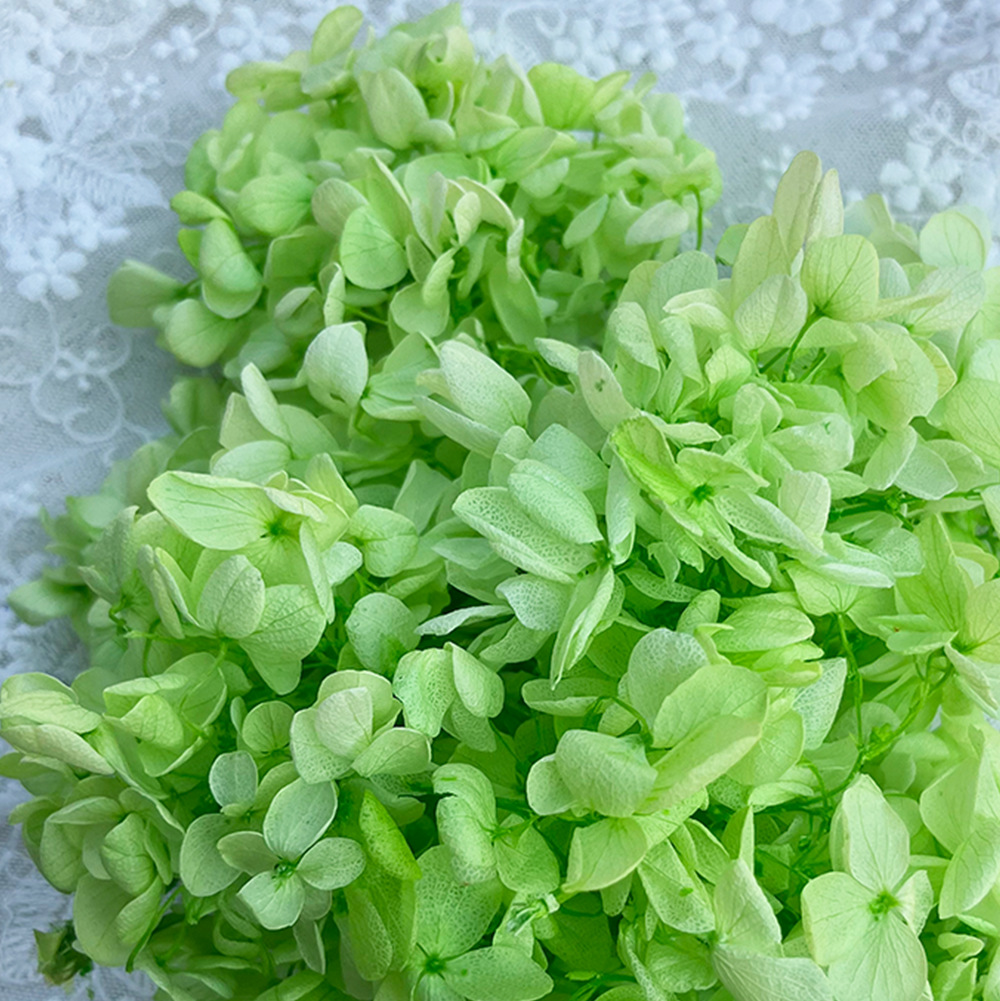 Flor mágica Diy Flor eterna A Material de hortensia de madera 100g Material de flor real Flor seca Unicornio Sentido avanzado Matrimonio en casa