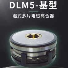 DLM5-100/DLM5-100A͝ʽƬ늴x/xˢDC24V