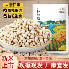 �F��޲������؛�r�����rȥ����޲��޲��������s�Z�Ǽt���ඹ����