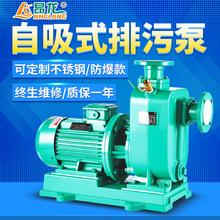 定制工业污水泵 大流量直联污水无堵塞排污泵 卧式自吸排污管道泵