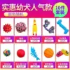 Affordable and popular model for puppies (set of ten)