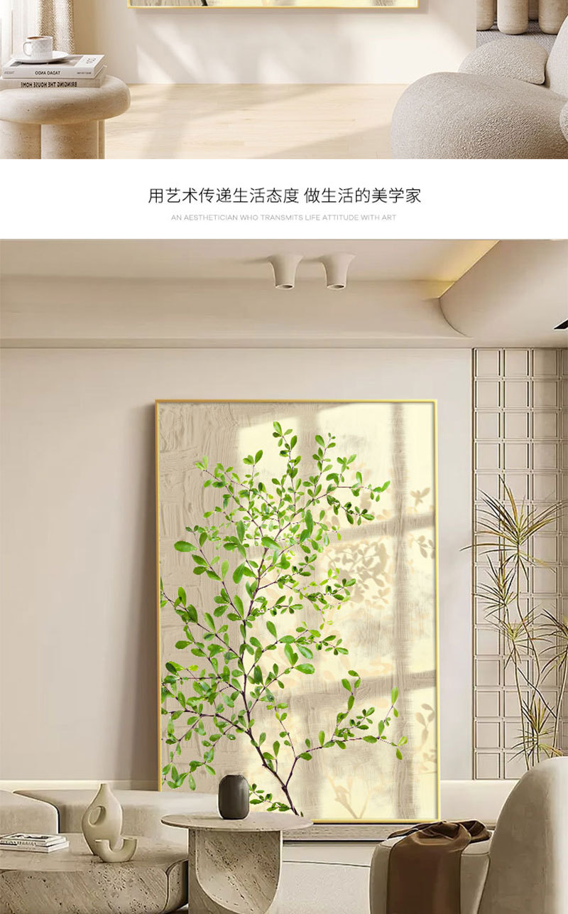 详情图