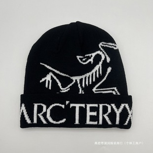 Cross-border Amazon Hot Selling Letter Knitted Hats European and American Autumn and Winter Dinosaur Pattern Warm Pullover Hats