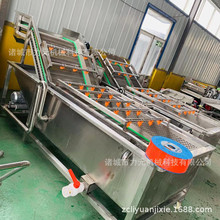 大枣气泡喷淋清洗机 绿叶菜果蔬清洗机 鱼腥草龙须菜高压清洗设备