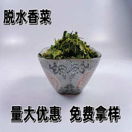 供应脱水香菜叶香菜碎方便食品蔬菜提味调味包配料脱水香菜干批发