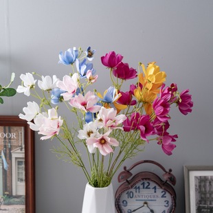 ��˹�Ն�֦��ɣ�����滨�S�ҼҾ��b�c�����ٻ�������MW58738