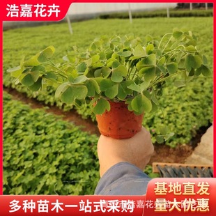 ���~�t�~���{�ݻ���/���~���~�����  �҃��̨ͥԺ�^�~ֲ�� �҃�