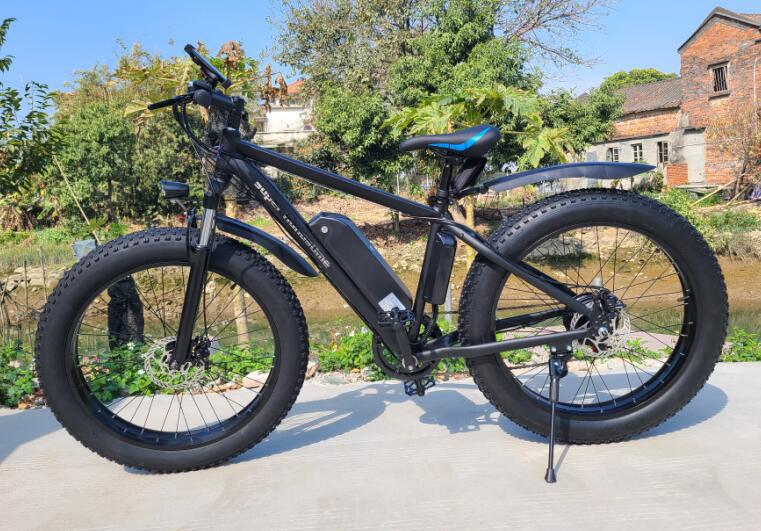 500W 1000W 雪地车自行车欧洲仓美国仓英国仓库存支持一件代发