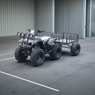 �S��ֱ�N125CC��݆ԽҰɳ��Ħ��܇ȫ����С��ţ���ж�����ѩ��Ħ