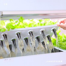 �҃ȟo�������O���̨ˮ���߲����w�Nֲ�C�Ԅ�ѭ�hˮ��������