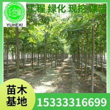 ���������С�w Ҏ��ȫ ���� �Sɽ��� �е��� ���ع���