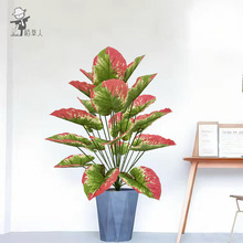 Ϸ滨t߅~٘~ҾͥԺ쾰ԷپGֲ