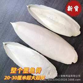 整个墨鱼骨鹦鹉鸟类磨牙补钙原料爬宠啃咬乌贼骨海螵蛸宠物鸟