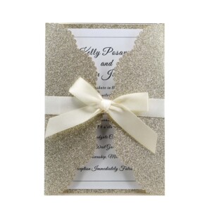 ���R�d�D���R�� ���۽��[250G�yɫ����Ո�� ������Ո���������l