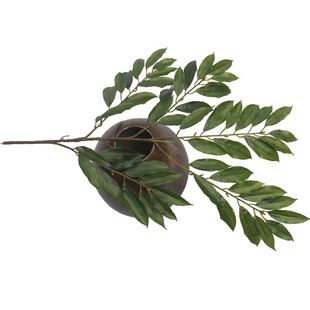 ����ֲ������~�Gֲ��晵���~���^�@�ֹ����쾰������S�����l