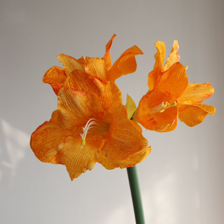 노란색 짧은 막대 55cm