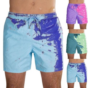 Cross-Border Popular Summer Men's Fashion Beach Pants European and American Large Size Men's Quick-Drying Pants Comfortable Men's Shorts