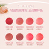 Matte lipstick, makeup primer, translucent shading, optics, resistant coating