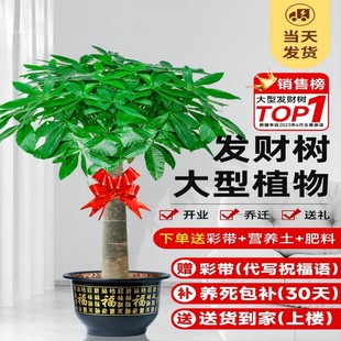 �lؔ�������҃ȴ�ú��B��������ؔ�Gֲ�k���҃Ȇ��w�_�I�辰����