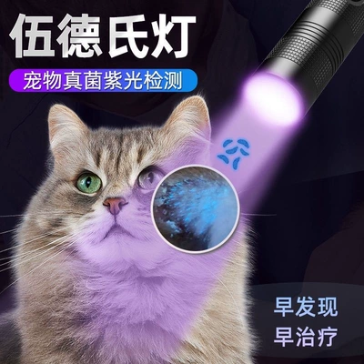 UV fənərlər, detection, UV light, cat litter box