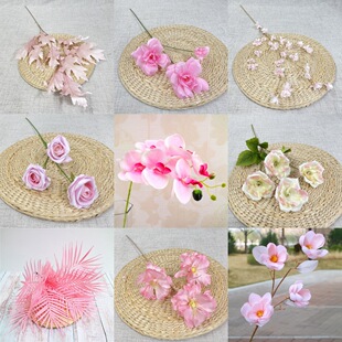 ��}̎��  ��ɫϵ  ��c���� ��픵��Ż�