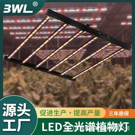 植物生长灯
