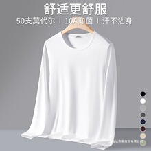 50֧�z��Ī�����������ʿ2026�¿�＾�L��t����ɫ�ȴ����·�
