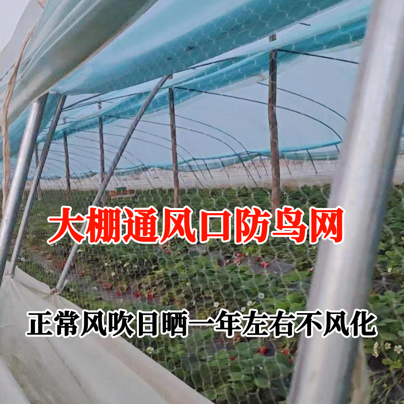 j8果树上下农用防鸟网通风口网穿绳草莓菜地种植拦鸟果园葡g3