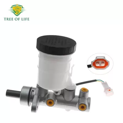 Master Cylinder/Brake Pump, Other brake systems