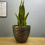定制大口径圆形复古种植盆