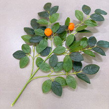 ������Ә��~��������~�G�������b����~�Ƶ��������}�쾰�G�~