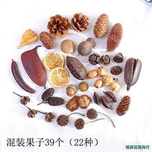 ɻɹMb׃@DIYֹϰɹɻ[յ