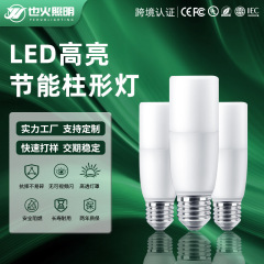 跨境LED灯泡超亮节能柱泡家用E27螺口客厅卧室台灯照明灯白光光源