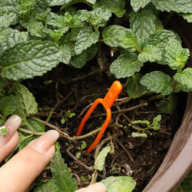 厂家批发园艺压蔓器西瓜草莓塑料种植叉藤蔓压蔓生根育苗固定器