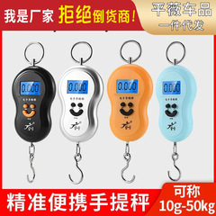 Portable scale for weighing grams, electronic scale, accurate household vegetable selling 30kg 50kg portable spring scale