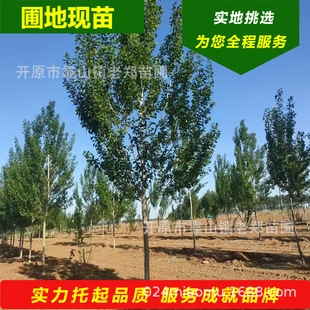 �F���������o������y�З�1��30���ִ֠I�������B�ޏ͘�N�ח�