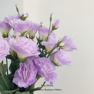 ��Ʒ�|�L���۹�  ������ˇ�b� �͏d������� �Ҿ��Ʒ�Ĕz����