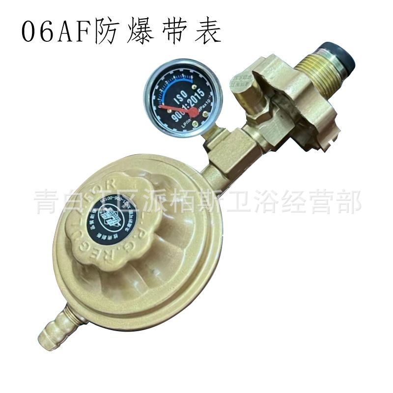 东鼎减压阀06AF防爆带表.jpg
