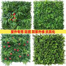 ����ֲ��Gֲ���b����̨�������쿹���⾀��ƺ��ȼ