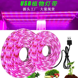 LED灯带;植物生长灯;室内LED