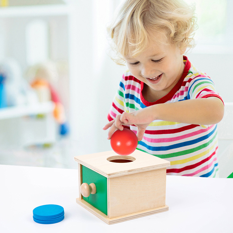 Jardín de los niños de madera dos-en-uno Caja de Inteligencia pitching caja de monedas Montessori Infante de Inteligencia de desarrollo de juguetes ayudas didácticas