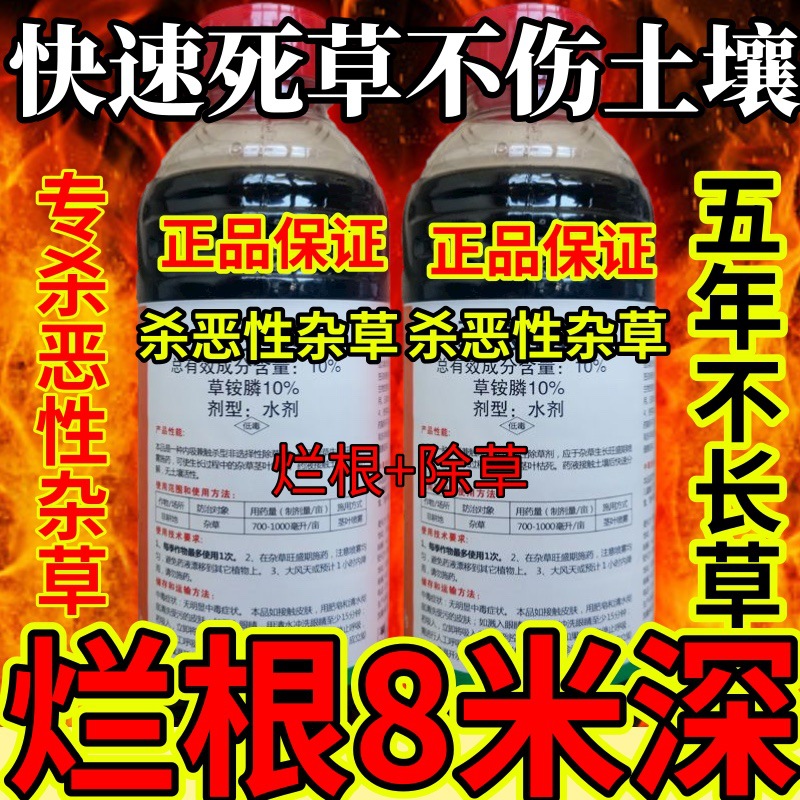 杀草快高浓度精草铵膦铵盐果园小飞蓬各种杂草快速死草不伤土壤