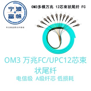 12-Core Ribbon Fiber Optic Om3 10g 0.9mm Bare Fiber Colored Ribbon Fc/Upc 1.5 Meters 10g Compatible