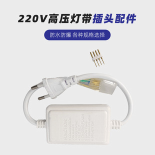 220V light strip 2835 5050 high voltage monochrome RGB light strip waterproof rainproof plug accessories