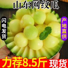 山东网纹瓜冰淇淋网纹密瓜新鲜摘应当季水果哈密整箱甜瓜批发店