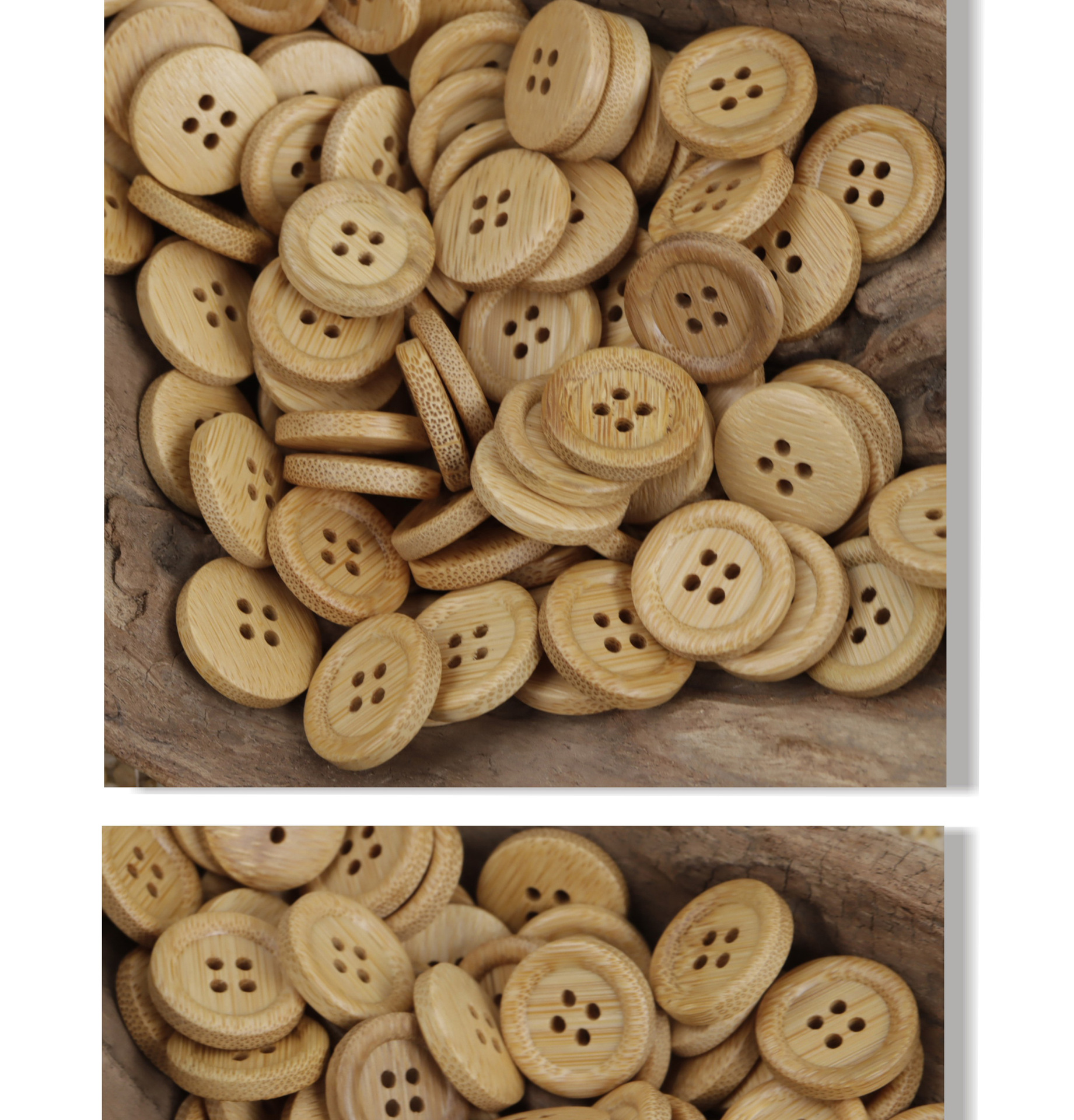 Bamboo_07.jpg