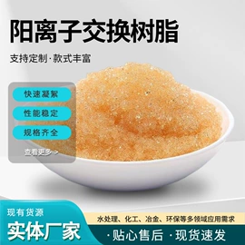 离子交换树脂;其他合成树脂