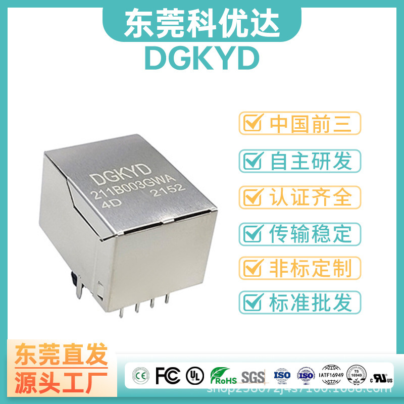 Dgkyd Rj45 Ethernet Single-Port Connector 100m with Filter 8P8C Direct Plug-In Dip Dgkyd Rj45 Ethernet Single-Port Connector 100m with Filter 8P8C Direct Plug-In Dip